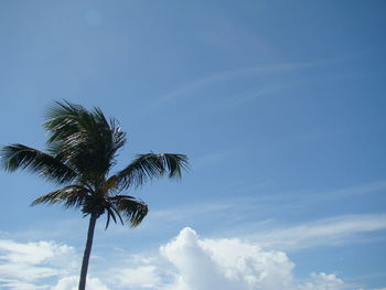 Low angle view of trees against cloudy sky
