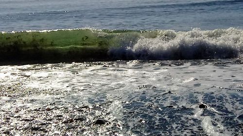 Scenic view of beach