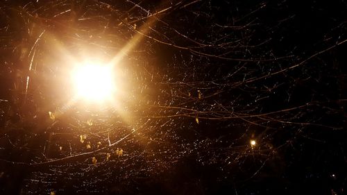 Close-up of fireworks against sky at night