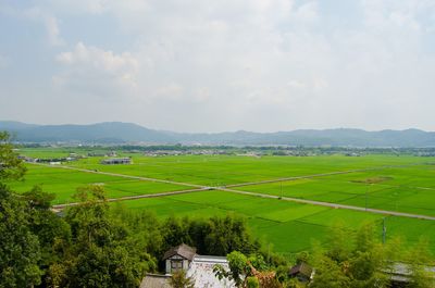 Takayama rice fields view