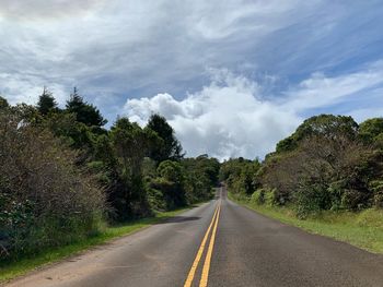 Empty road along plants and trees against sky