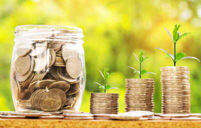 Close-up of coins with plants by jar on table