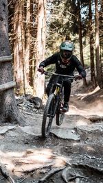 Man riding bicycle in forest
