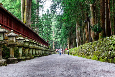 People walking on footpath amidst trees in forest within the temples and shrines of nikko, japan.