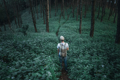 Rear view of man standing on field in forest