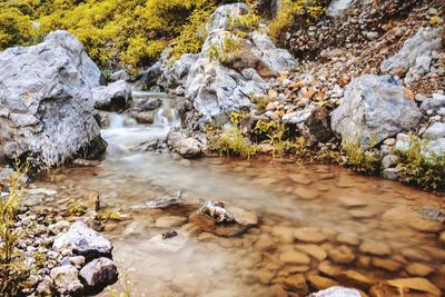 Scenic view of waterfall