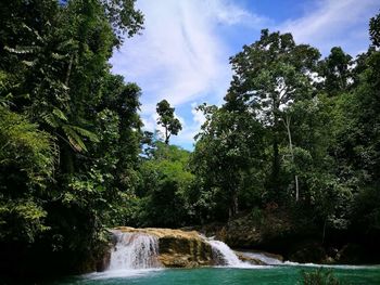 Scenic view of waterfall in forest against sky