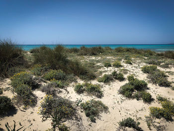 Scenic view of sea against clear blue sky
