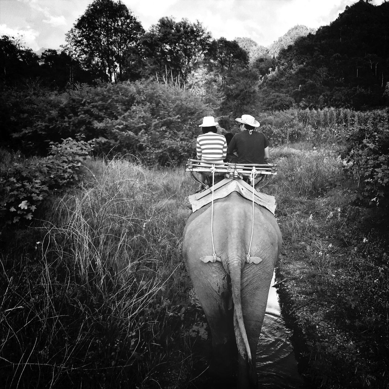 lifestyles, leisure activity, casual clothing, grass, water, tree, full length, rear view, sitting, sky, tranquility, nature, person, men, tranquil scene, childhood, plant, day