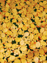 Full frame shot of yellow flowers