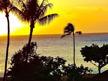 Silhouette palm tree by sea against sky during sunset