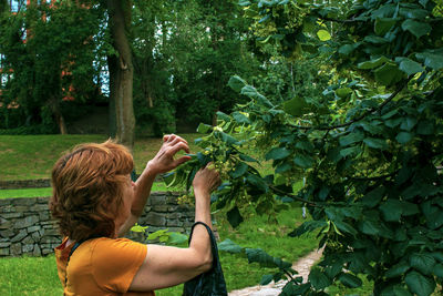 Rear view of woman with arms raised standing amidst plants