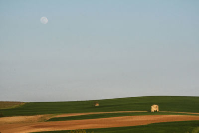 Scenic view of field against clear sky