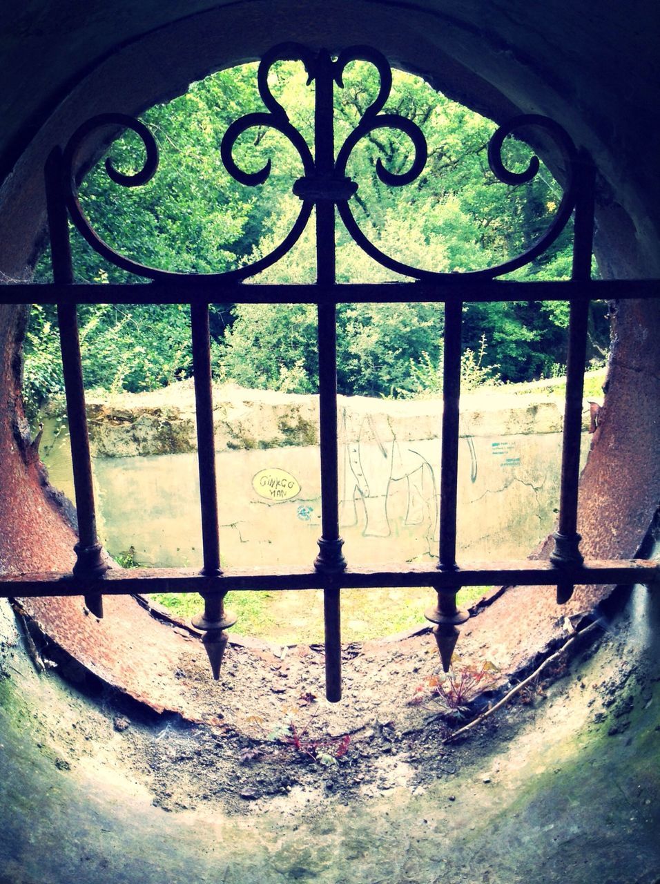 metal, indoors, grass, high angle view, green color, abandoned, window, no people, day, old, plant, geometric shape, railing, built structure, sunlight, metal grate, metallic, damaged, circle