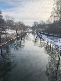 Bare trees on frozen river during winter