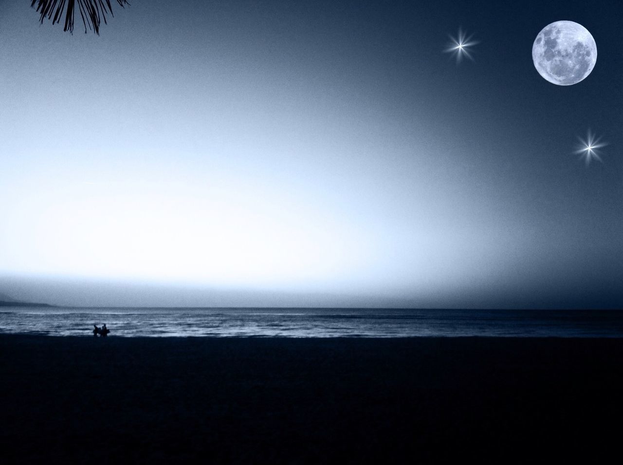 sea, horizon over water, beach, water, scenics, tranquil scene, tranquility, copy space, beauty in nature, shore, sky, clear sky, moon, nature, silhouette, night, idyllic, blue, vacations, sand
