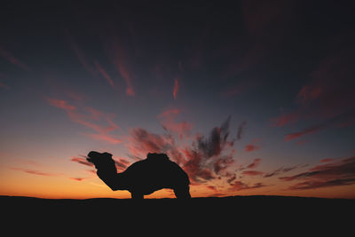 Silhouette horse standing on field against orange sky