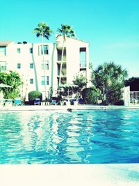Palm trees in front of building