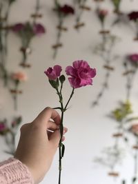 Girl holding a flower with a flower background.
