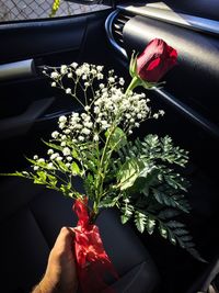 Red flowers on plant