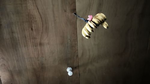 Banana Bulb