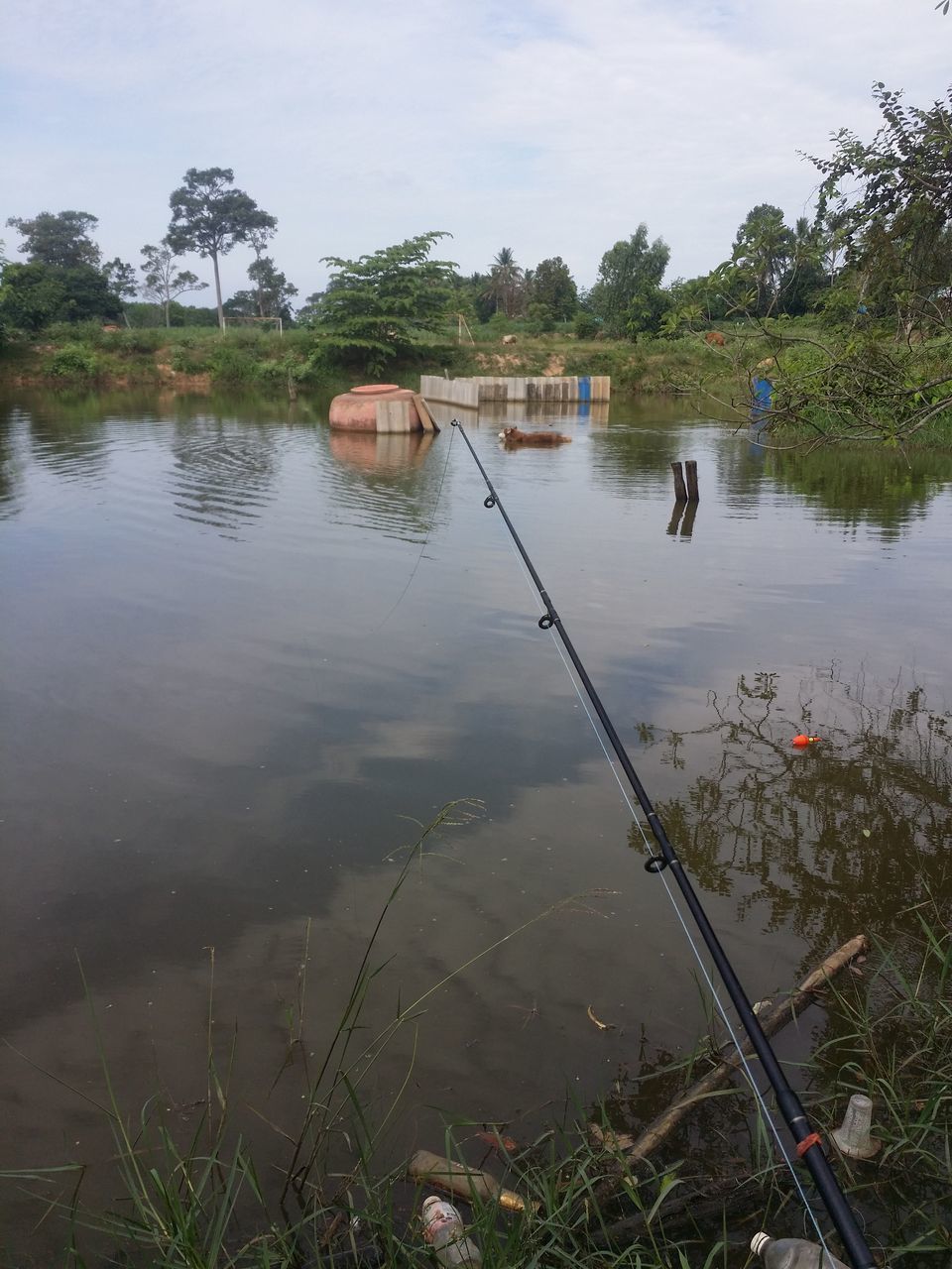 SCENIC VIEW OF LAKE