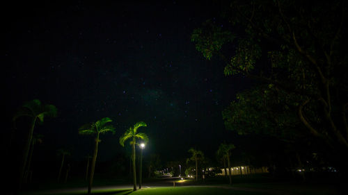 Low angle view of illuminated trees against sky at night