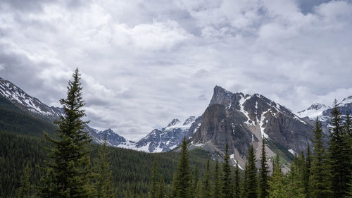 Beautiful alpine valley with snowy peaks and forest in foreground, moraine lake road,banff np,canada