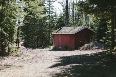 View of forest