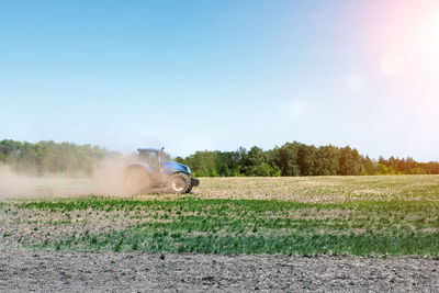 Scenic view of agricultural field against clear sky