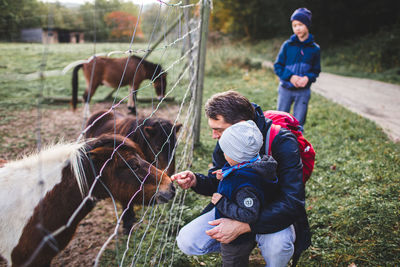 Father and son touching horse by chainlink fence outdoors