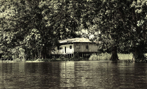 Scenic view of lake in forest