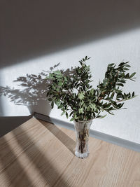 High angle view of potted plant on table at home