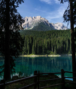 Scenic view of lake by trees against sky