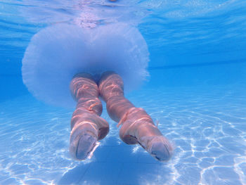 Woman legs in swimming pool