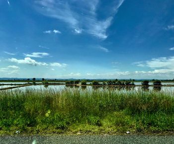 Scenic view of field against sky