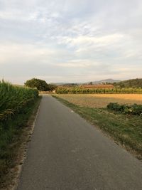 Road amidst field against sky