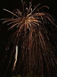 Low angle view of firework display