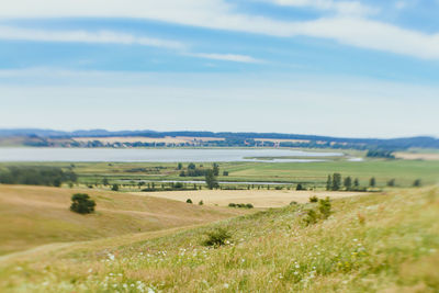 Scenic view of grassy field against sky