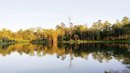 Reflection of trees in lake against sky