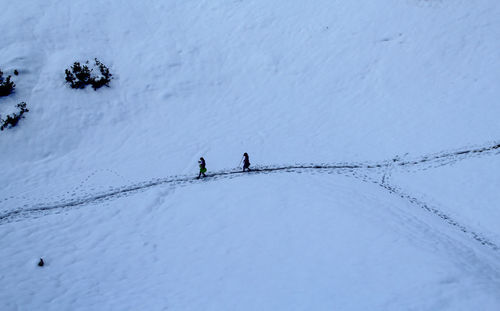 People on snow covered tree