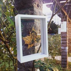 Autumnal leaves on tree trunk