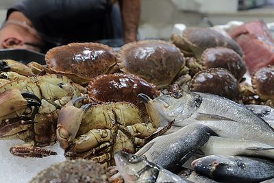 Close-up of shells for sale in market