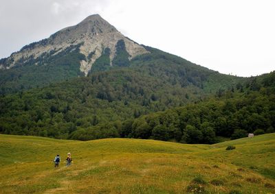 Scenic view of field and mountains against sky