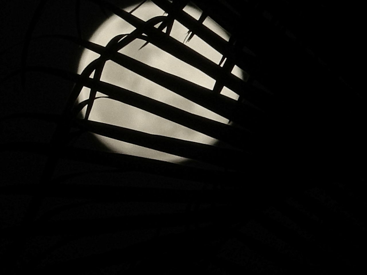 LOW ANGLE VIEW OF WINDOW BLINDS