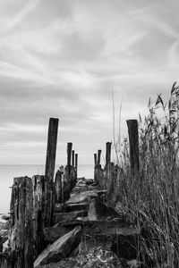 Wooden posts on beach against sky