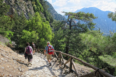 Rear view of people hiking in forest