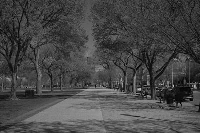 Empty footpath amidst bare trees in park