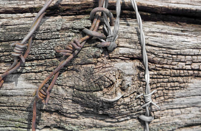 Close-up of rusty metal on wood