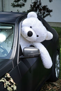 Close-up of white car